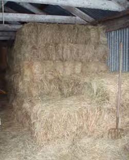 Bales of hay are stacked inside a structure.