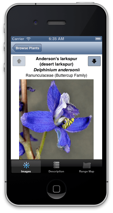 screenshot of app on mobile screen with flower showing