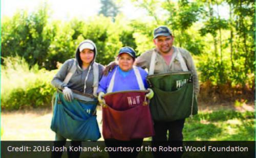 Three farmworkers--two women and a man--pose with their harvesting bags.
