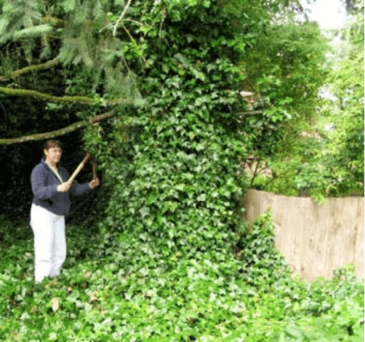 woman with clippers next to ivy-cloaked tree