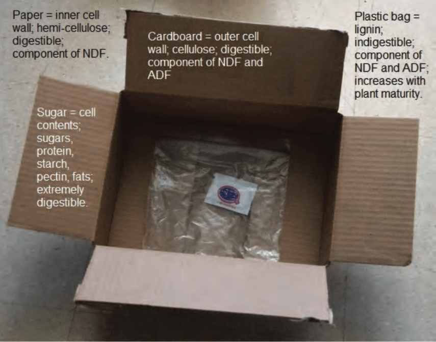 Cardboard = outer cell wall, cellulose, digestible, component of NDF and ADF. Paper inside cardboard = inner cell wall,