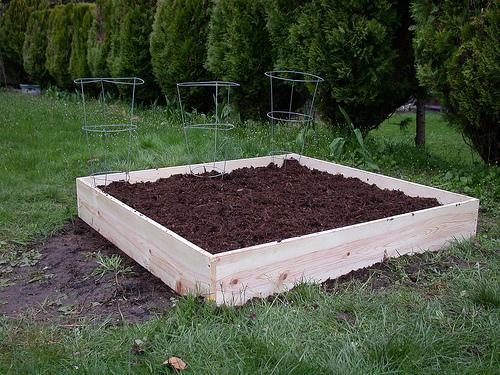 Raised bed made out of wood