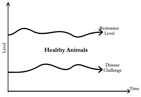 Line graphic shows how animals stay healthy when their resistance level exceeds the disease challenge.