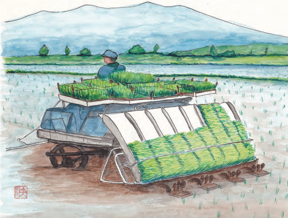 Figure 5. Modern multi row riding rice transplanter (first prototype invented by Ikuo Yamakage in 1986).
