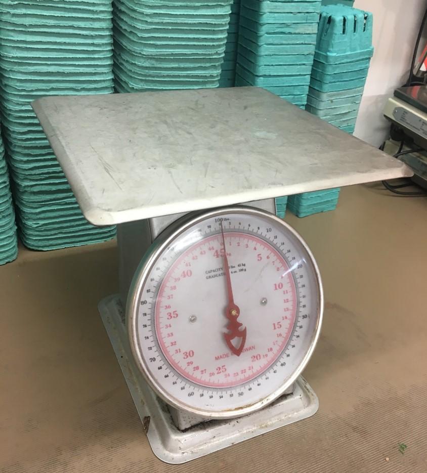 scale with front dial and shelf on top to set thing to be weighed