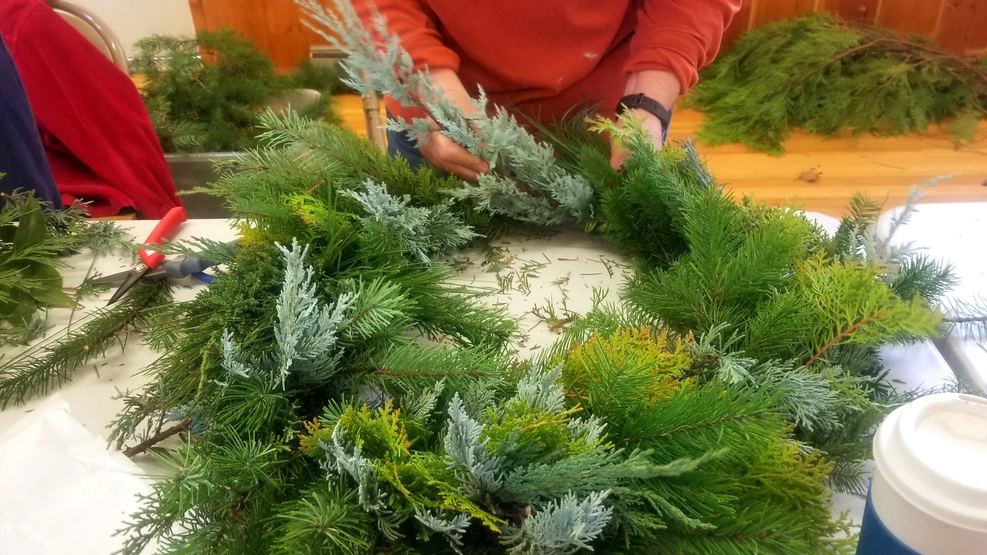 Making a wreath out of evergreen boughs