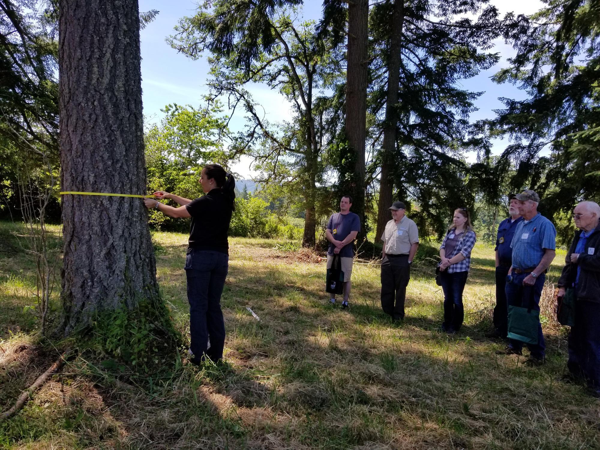 Participants measure a tree Basic Forest Measurement Tools as part of Tree School Lane.