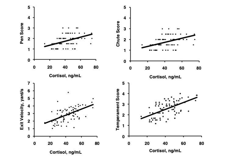 A series of four graphs show the relationship between blood cortisol and measurements of temperament of beef heifers. In all cases — pen score, chute score, temperamental score and exit velocity — higher cortisol levels align with excitable temperaments.