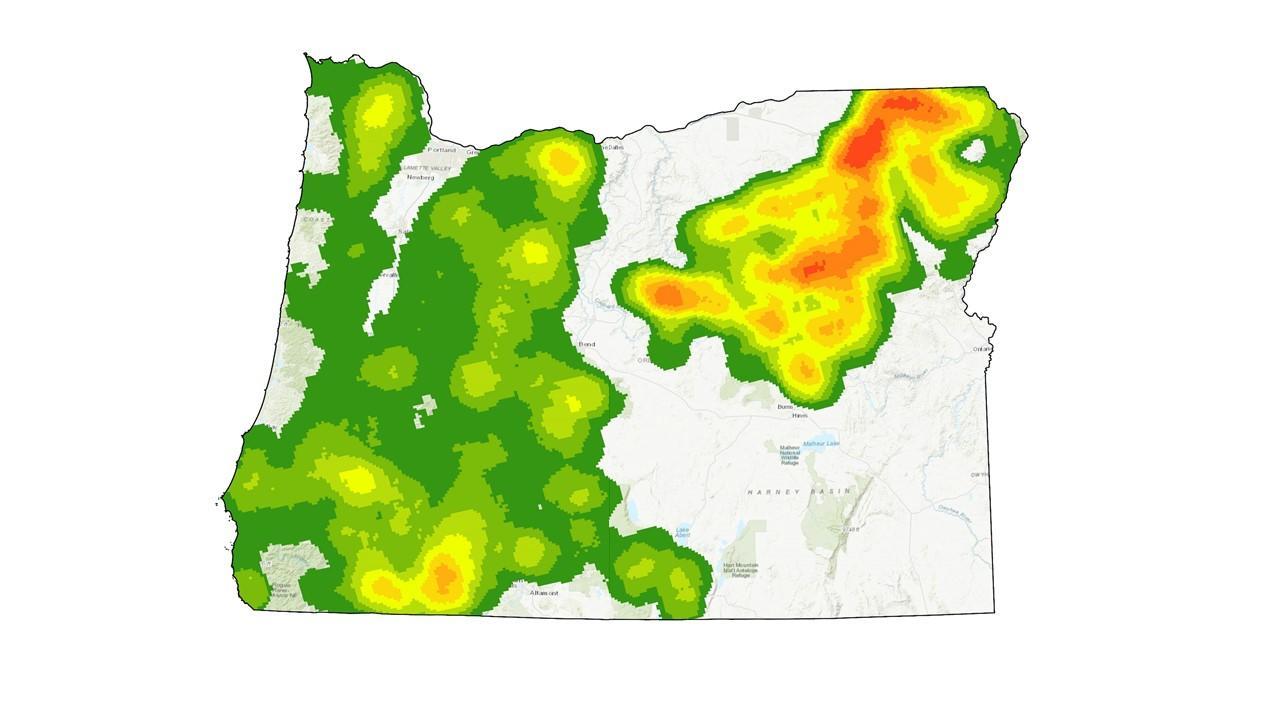 Oregon Forest Insects and Disease Map 2019. Color-coded map shows the most tree damage and mortality in the northeast corner of the state.