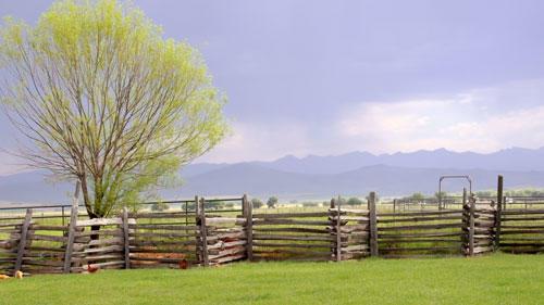 pasture fence