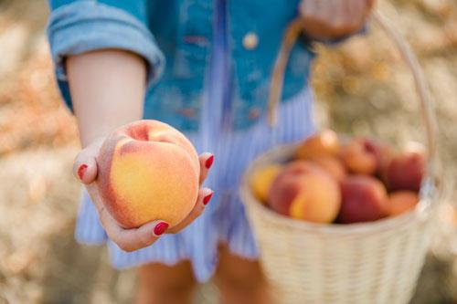 Perryhill Farm in Polk County offers U-pick blueberries, peaches, cherries, raspberries and apples