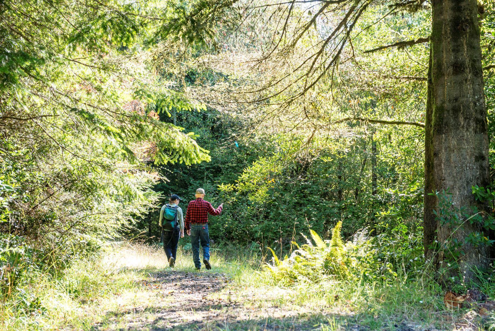 The rear view of a woman and a man walking up a trail bordered by trees and vegetation on both sides.
