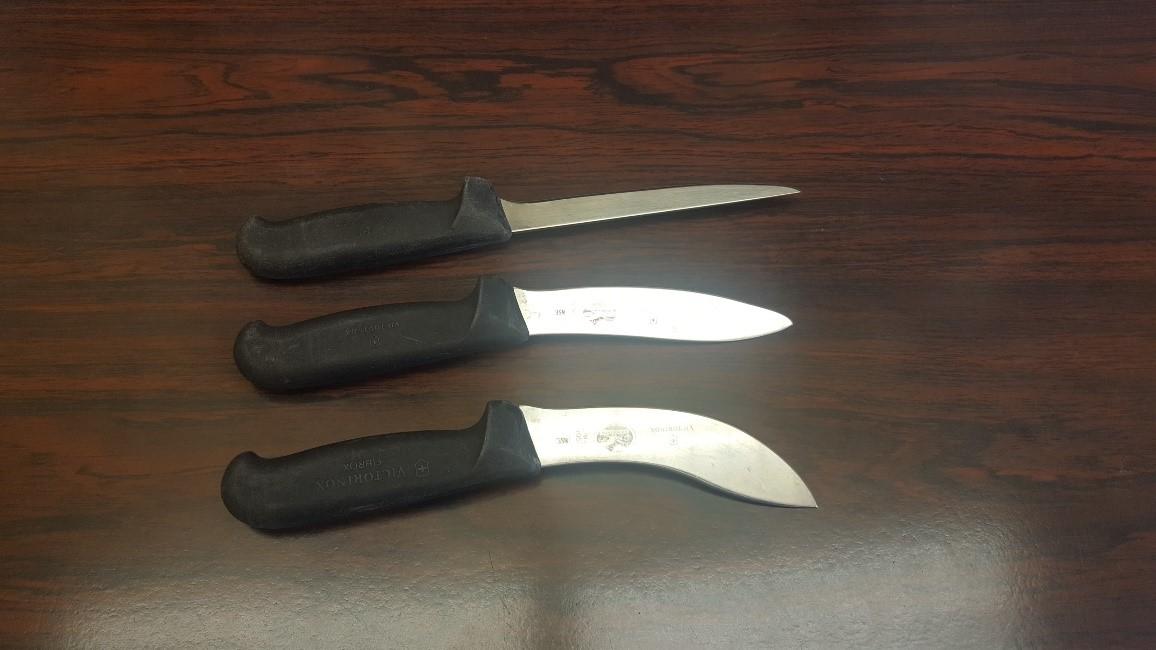 Three knives for butchering livestock are shown. One has a narrow and straight blade for boning; two others have broader blades for removing hides and other tasks.