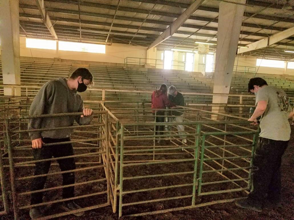 Curry County 4-H youth prepare holding pens for animals that might have to be eevacuated to the Event Center on the Beac