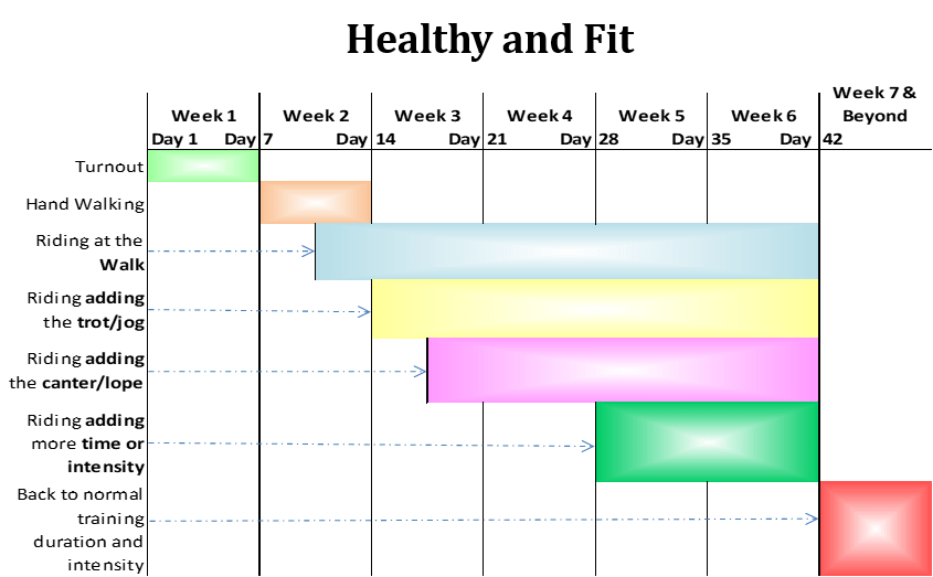 graph_healthyfit