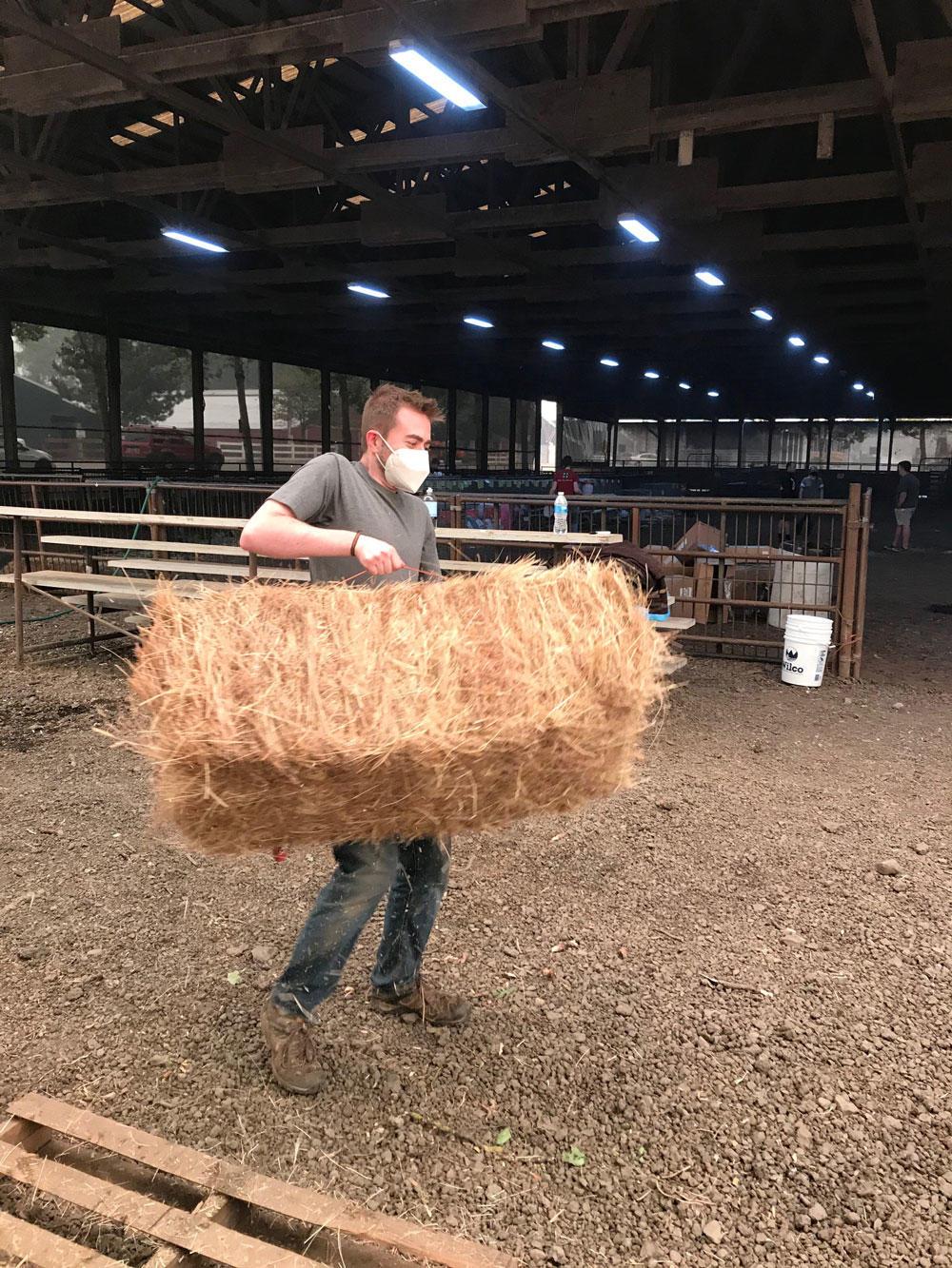 /node/154326Seth Mayhew, a student worker in the Yamhill County Extension Office, carries hay in preparation for rescued