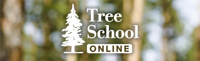 Banner - Tree School Online