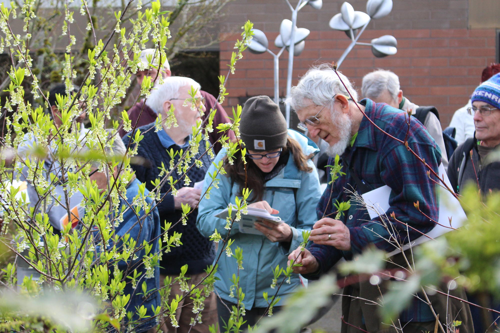 Tree and shrub identification is a core class offered at Tree Schools.