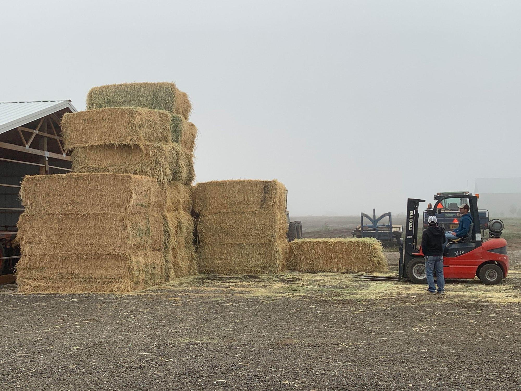 Donated hay stacked at the North Willamette Research and Extension Center.