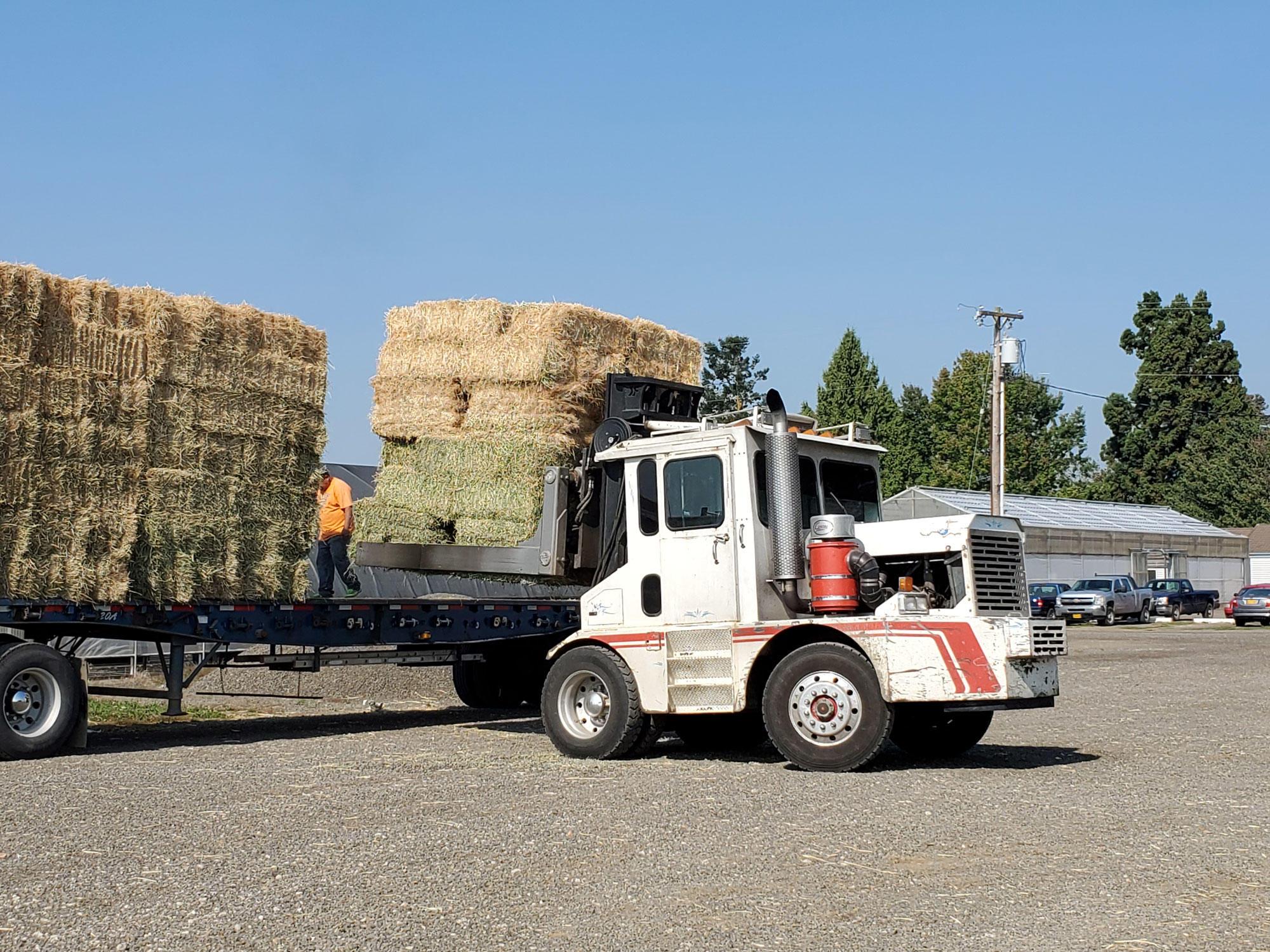 A semi truck carrying donated hay arrives at the North Willamette Research and Extension Center in Aurora.