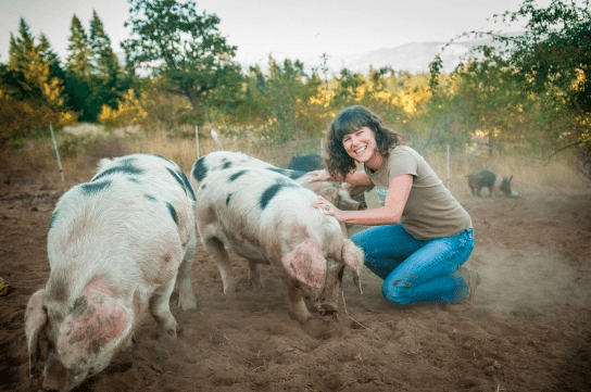Rebecca Thistlethwaite with swine.