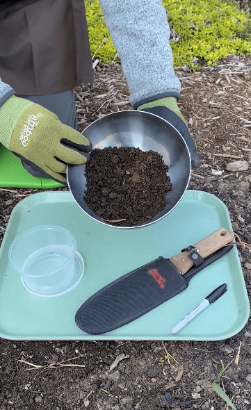 Collecting a soil sample for testing