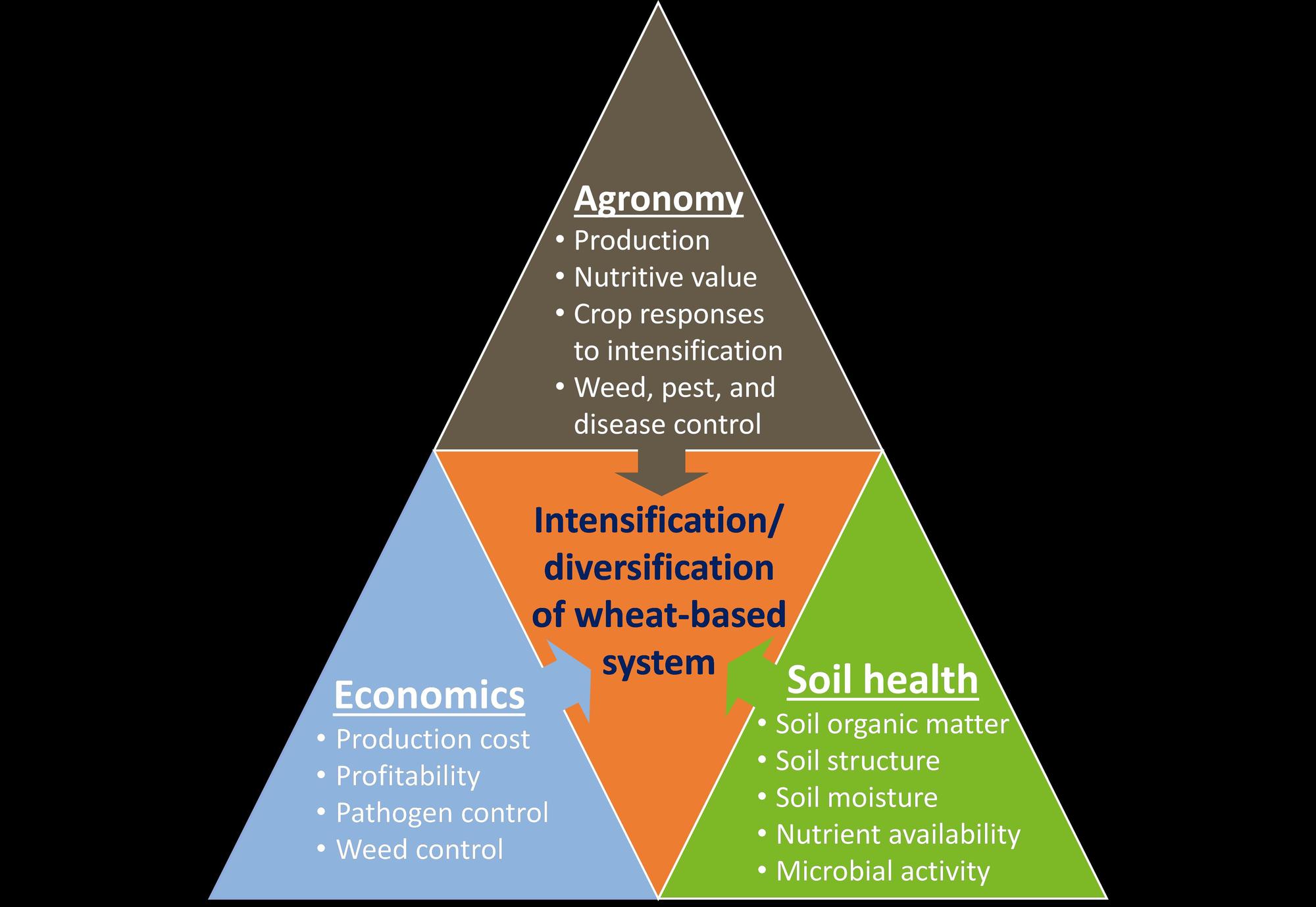 Agronomy: production, nurtritive value, crop responses to intensification, weed, pest and disease control; Economics: production cost, profitability, pathogen control, weed control; Soil health: organic matter, structure, moisture, nutrients, microbial