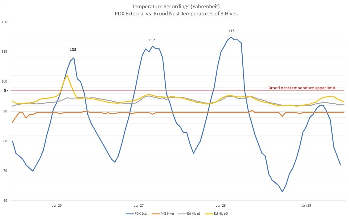 Graphic shows that as temperatures rose and fell during a heat wave in 2021, the temperatures of three monitored beehives remained constant.
