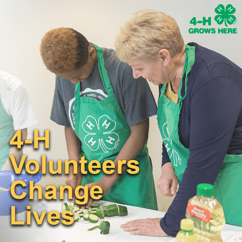 4-H Volunteer cutting vegetables with a 4-H youth