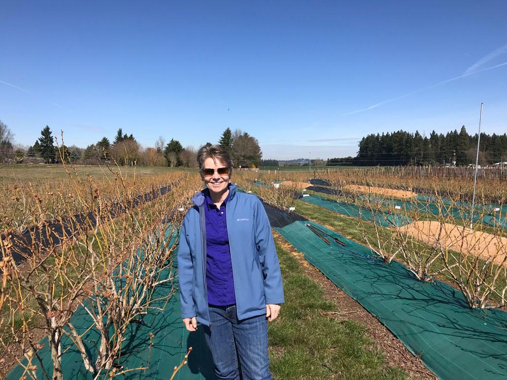 In Bernadine Strik's 34 years at OSU, blueberry acreage in Oregon jumped from 1,200 to 15,000 acres with large changes i
