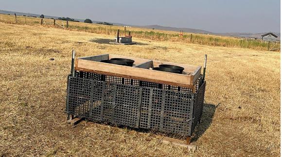 An elevated mineral stand sits in a field. The raised platform allows cattle and goats to access mineral supplements whi