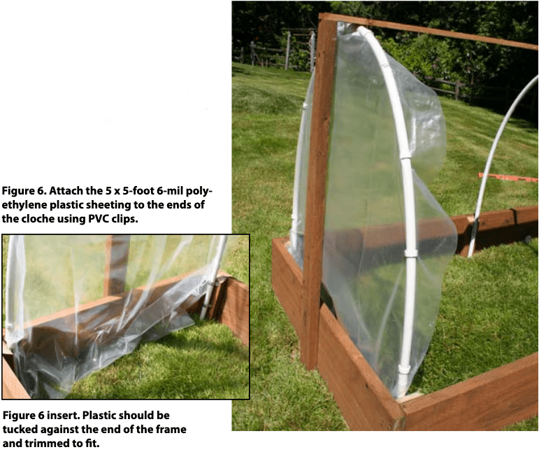 Attach the polyethylene plastic sheeting to the cloche using PVC clips