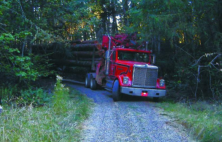big loaded logging truck on corner of winding road