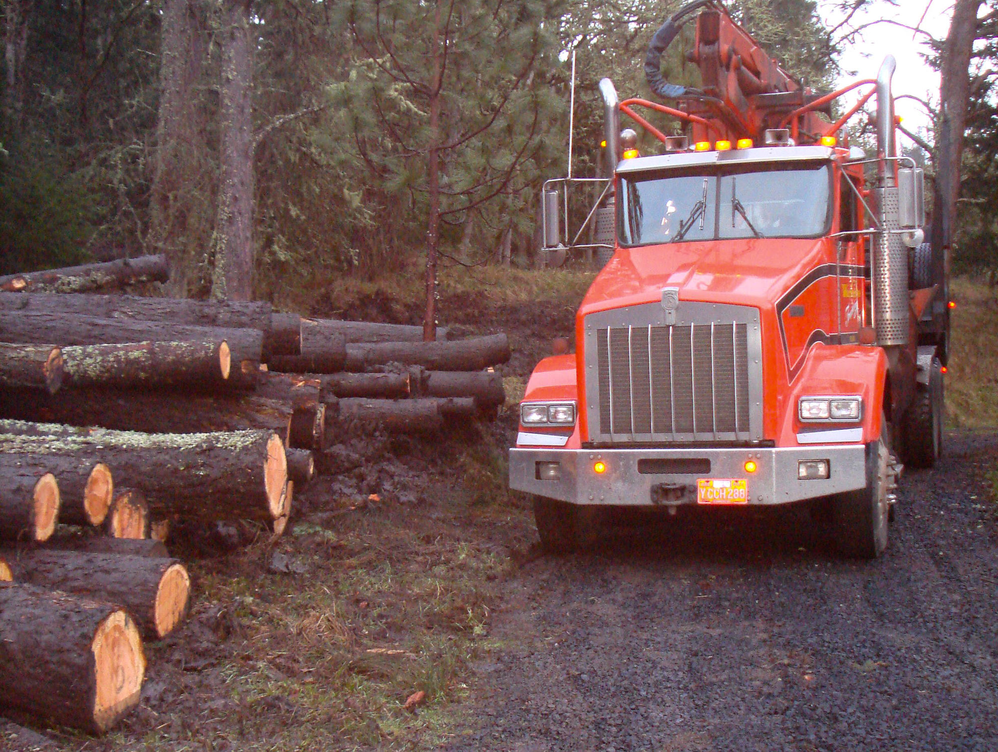 logging truck and logs on dirt road