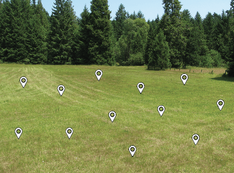 several locator spots within a grassy field bordered by trees