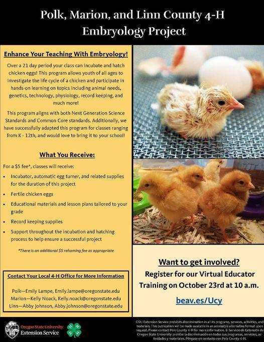 Embryology project flyer