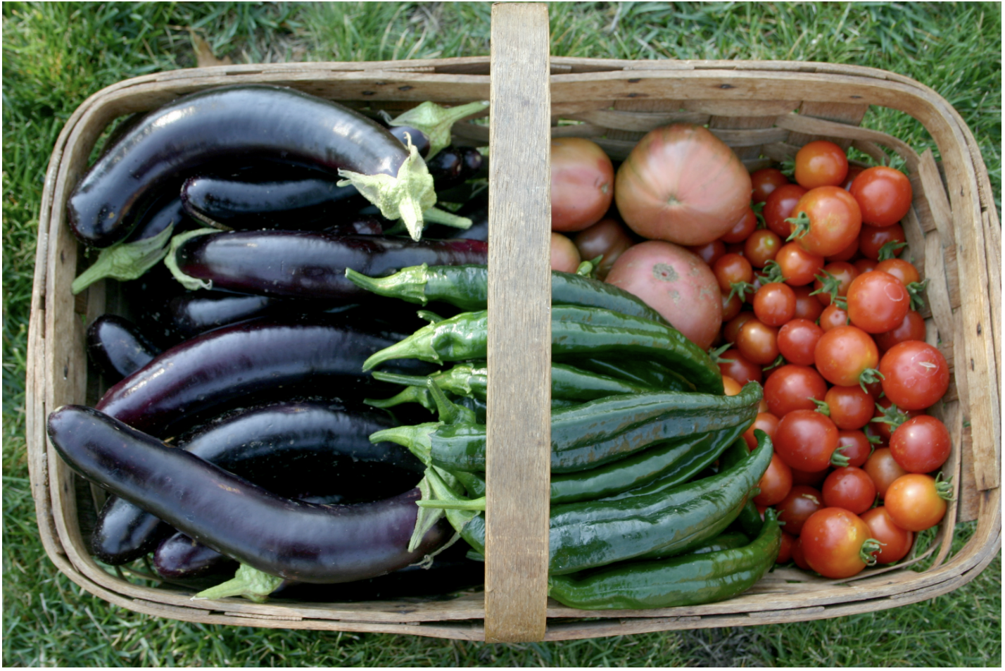 eggplant, peppers, and tomatoes