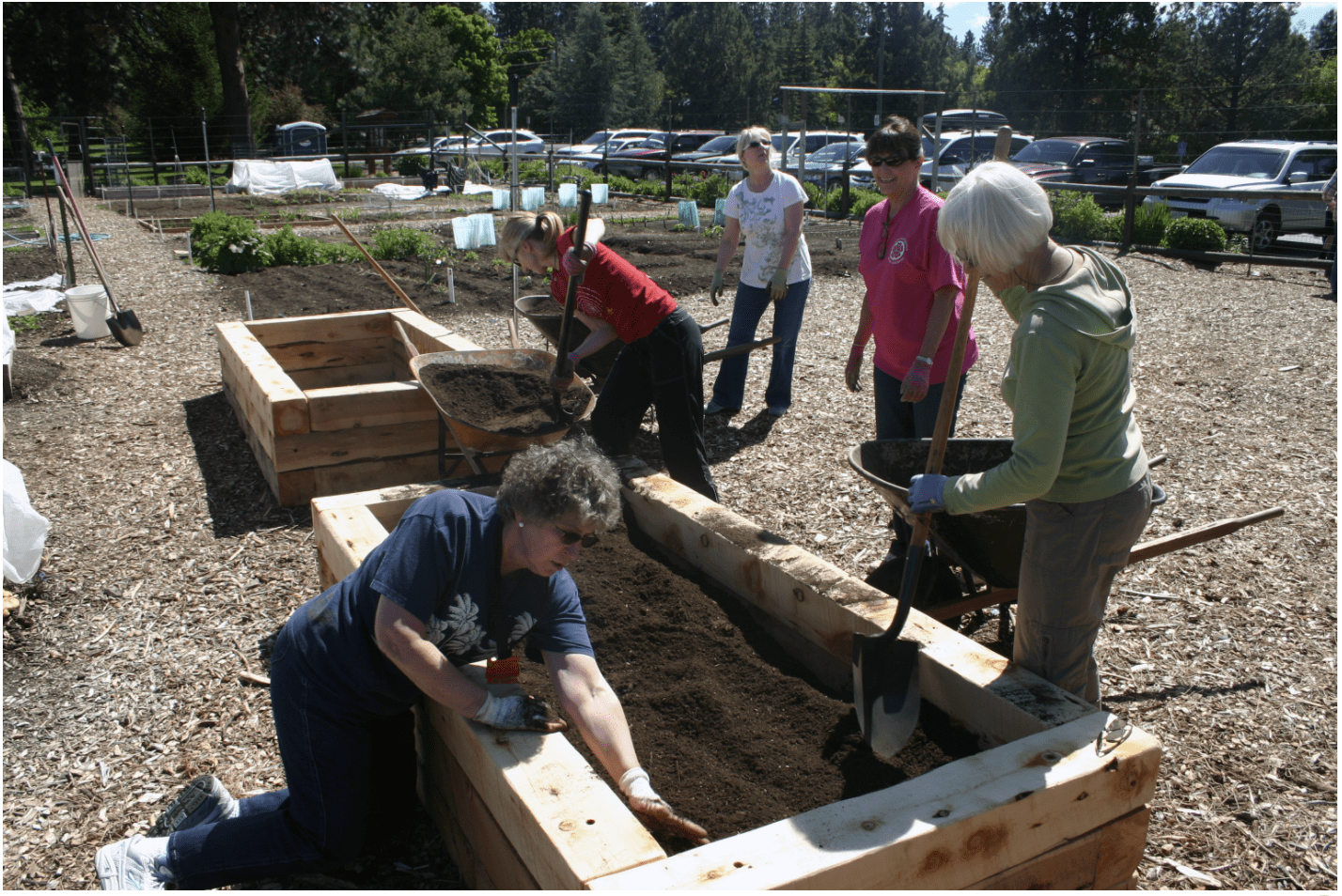 five people working on a raised bed