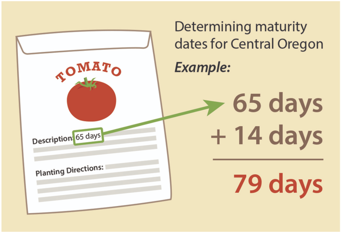 determining maturity dates for central oregon