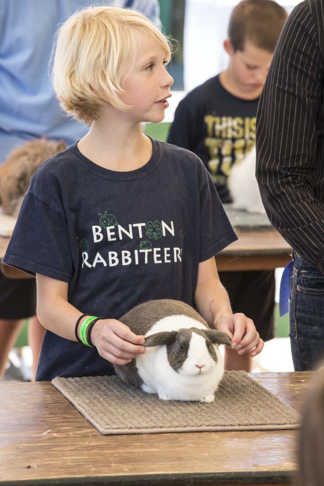 4-H kid showing rabbit at fair