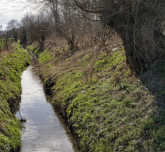 A water channel with steep banks illustrates the degradation and bank failure of a riparian area. Photo also shows the b