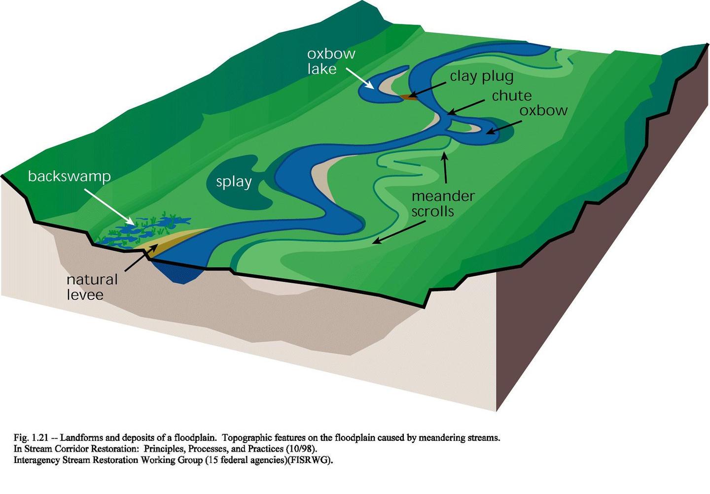 A diagram of a meandering stream illustrates the points of erosion and the depositing of sediment.