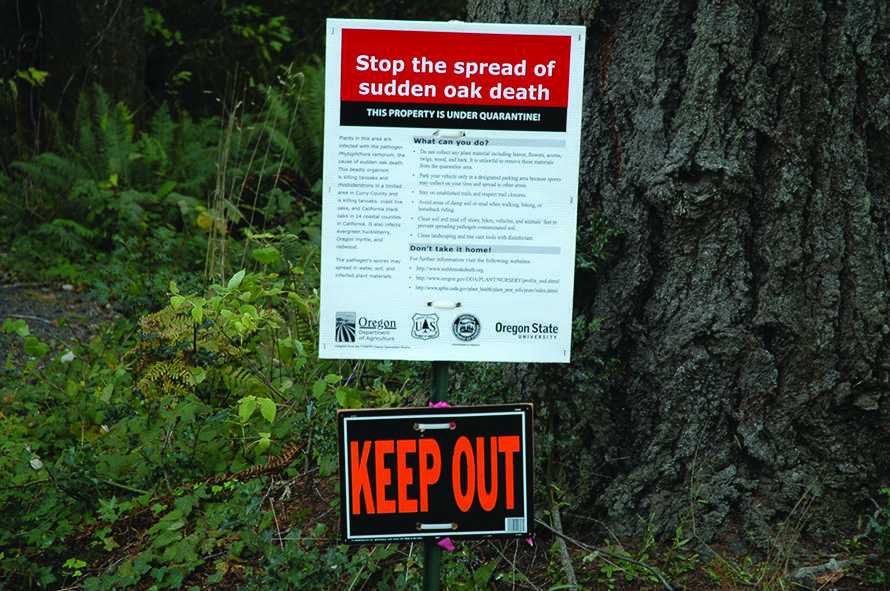 Keep out sign in forest