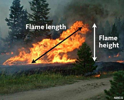 Flame length and flame height description.