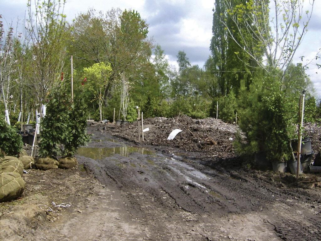 pile of plant material