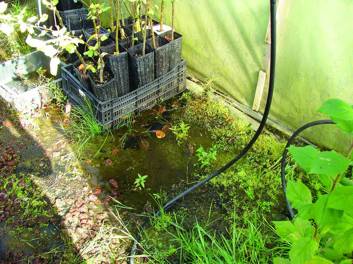 pool of water next to plant crate