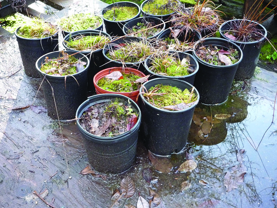 pots on wet surface