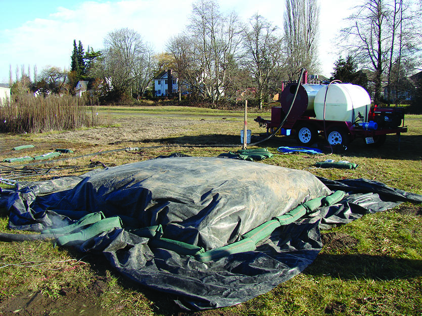 tarp covering mound