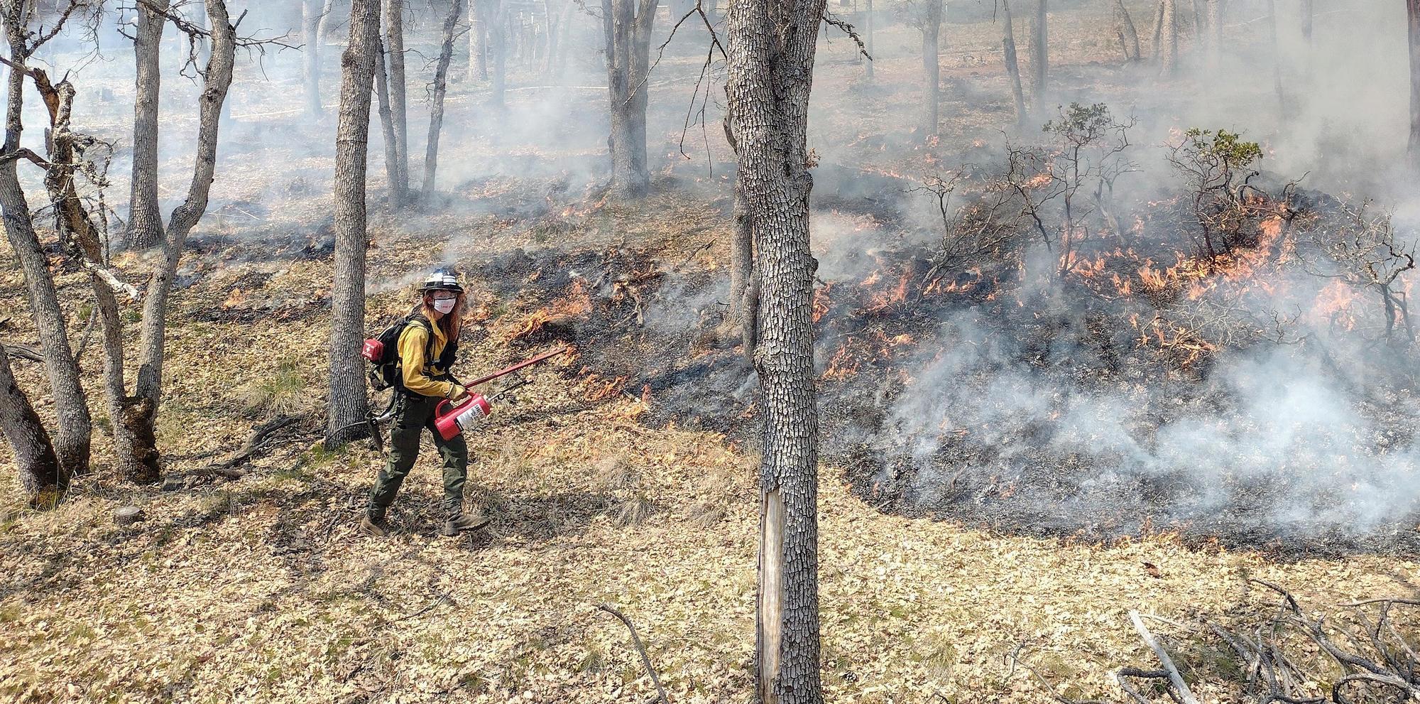 firefighter moves along smoky forest floor