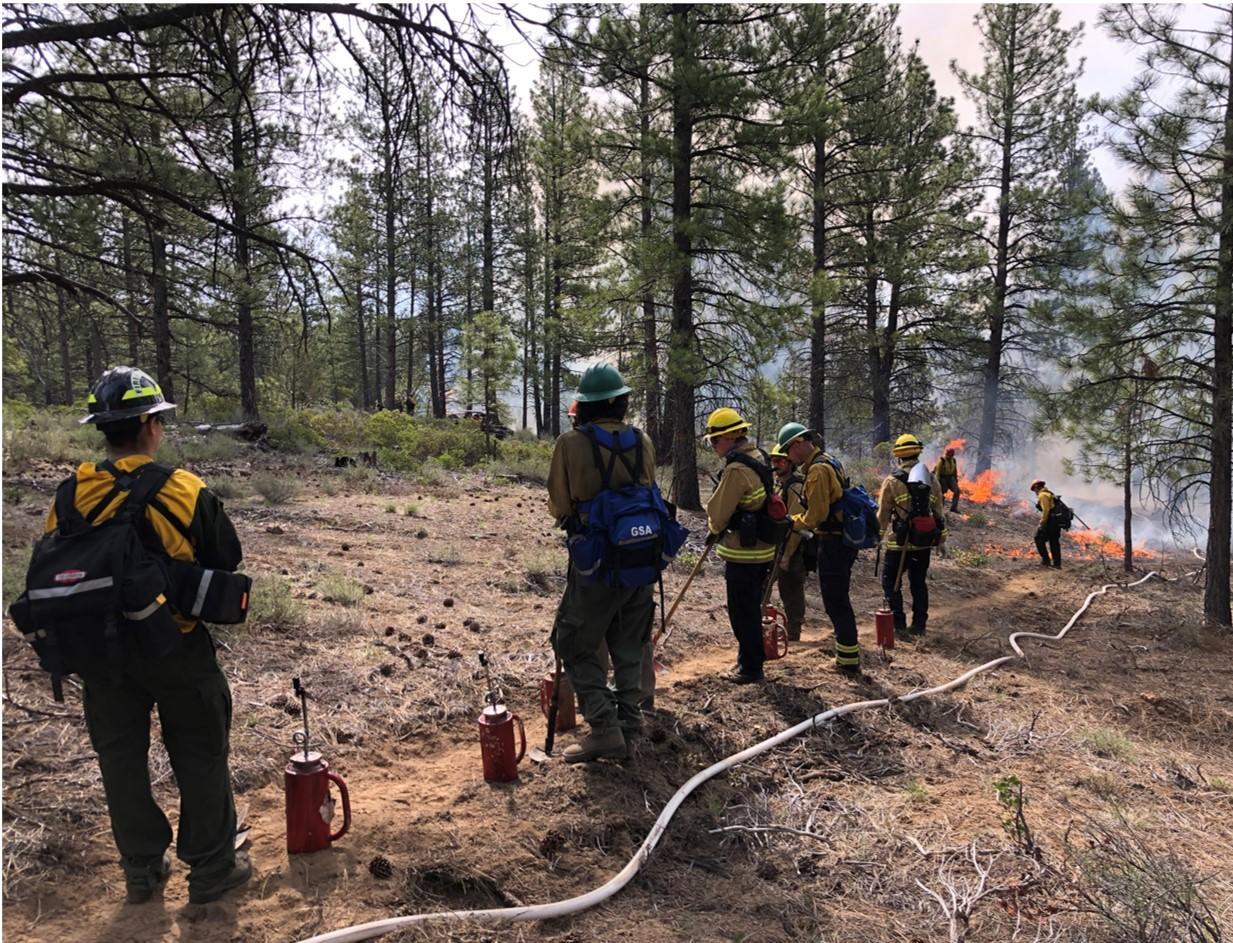 Firefighters on a fire line
